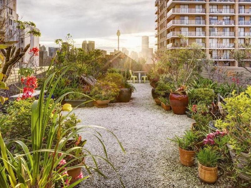 4458DB7CF2F568C12F3F47C81163D37D