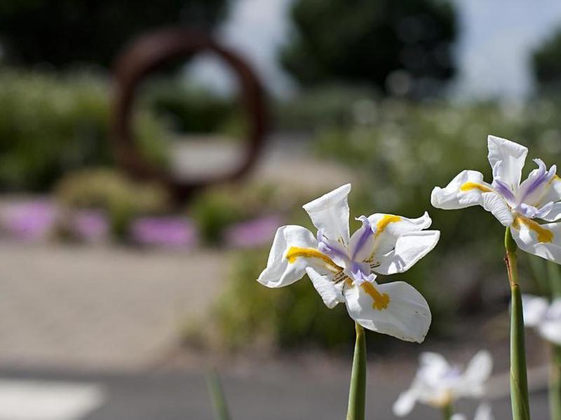 FE48E4BDE707D75A1B488E5ED1515FD1