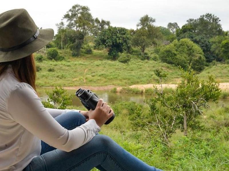 2B94E33D601E359FB8F2B12AF086D729