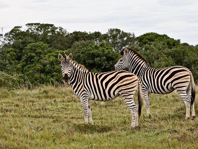 1D6503283CDE9DA4AA1FC01F833BF756