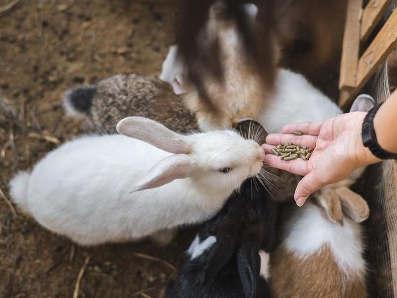 40BDA5C98D28466F7448CF71E1A37ECB