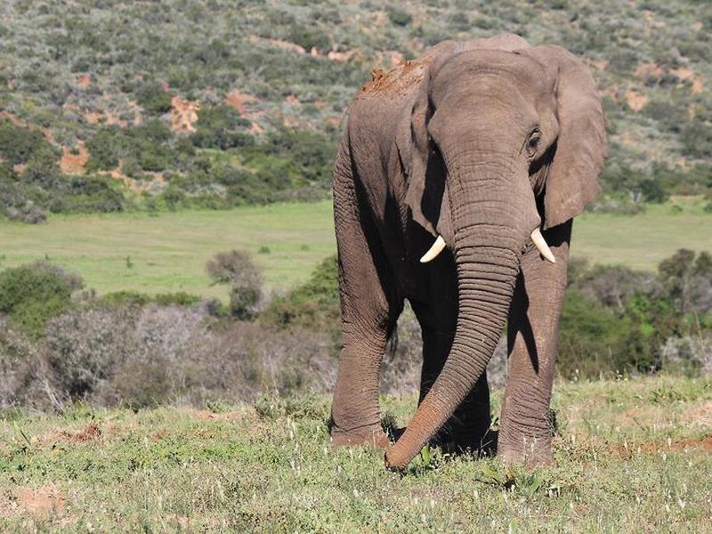 487B4F91CA6CF492DF8020FC0096795C