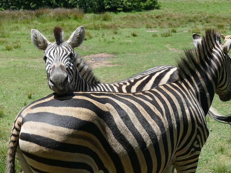 E41BC5D253CC70274F08507A5837DE55