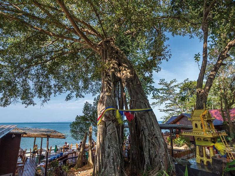 9B801CA988BCA50450845AE26EF17660