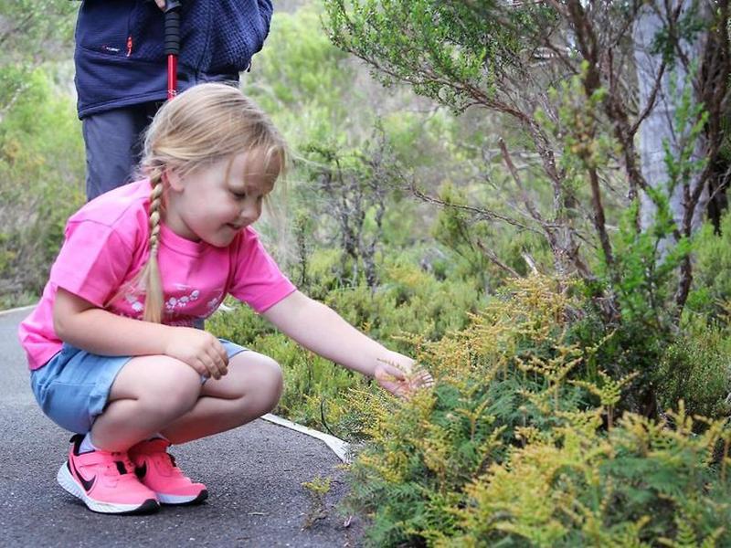 2D5C424F49400D3B9067F76EB03159BD