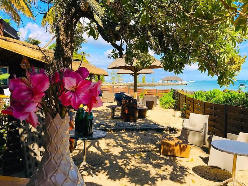 DF24ED7893B730A936DB7380E22917F9