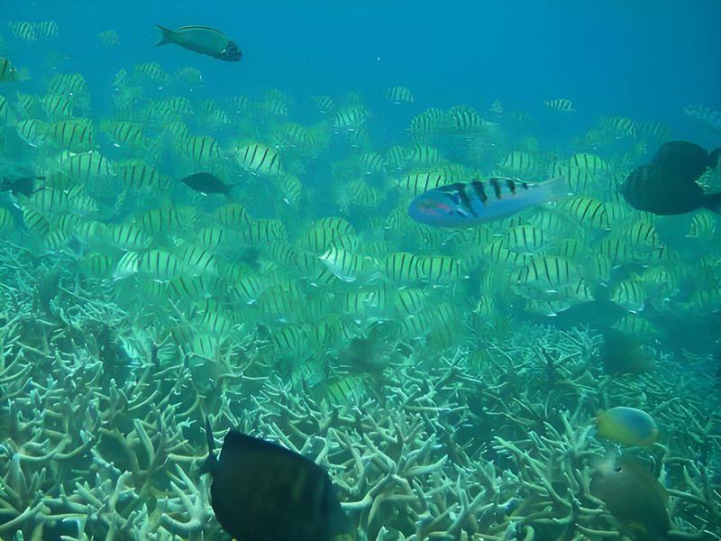 0CDFD8CB19D756F4F60C6262AAC20CDF