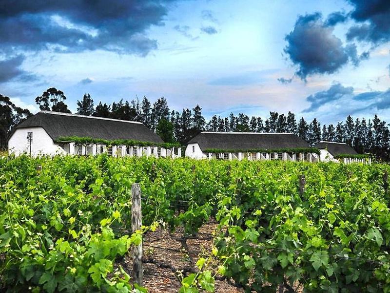 2FD0998BFE5F7D2872AE05D9CE207E10