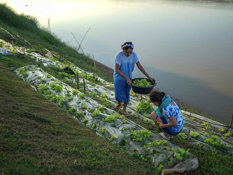 B3D6B187516C3CA3272ED639249F8D43