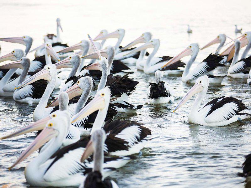 99524569AF80018DC3B694BB5CA67B8E