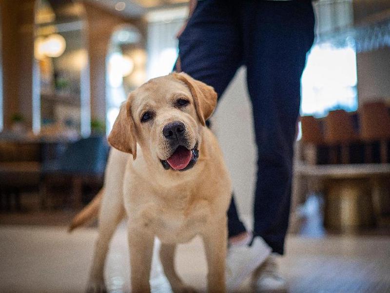 472844372A27CDBE209386CC79067366