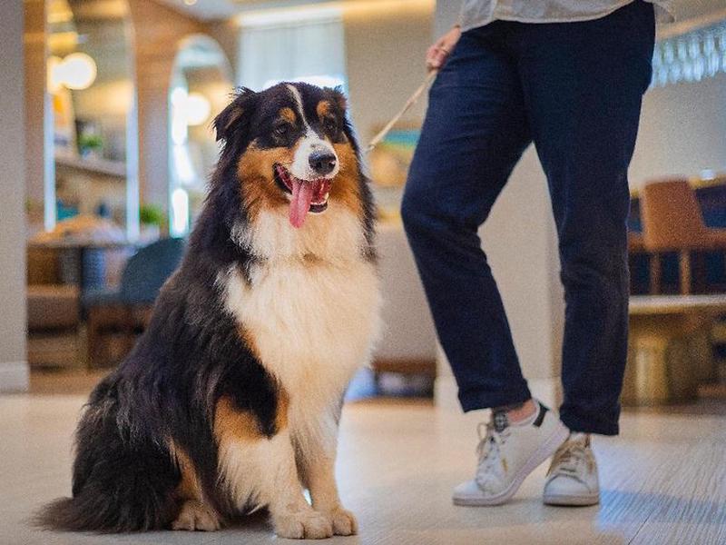 42D0BDE7821342B282F7B4552D2FD4CF