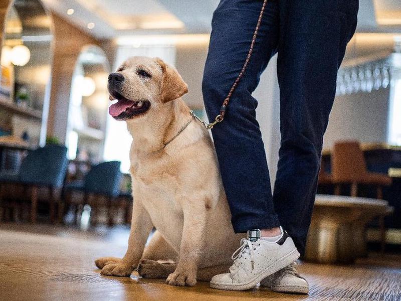 413665D199DFEE705F59FB10FCBA096D