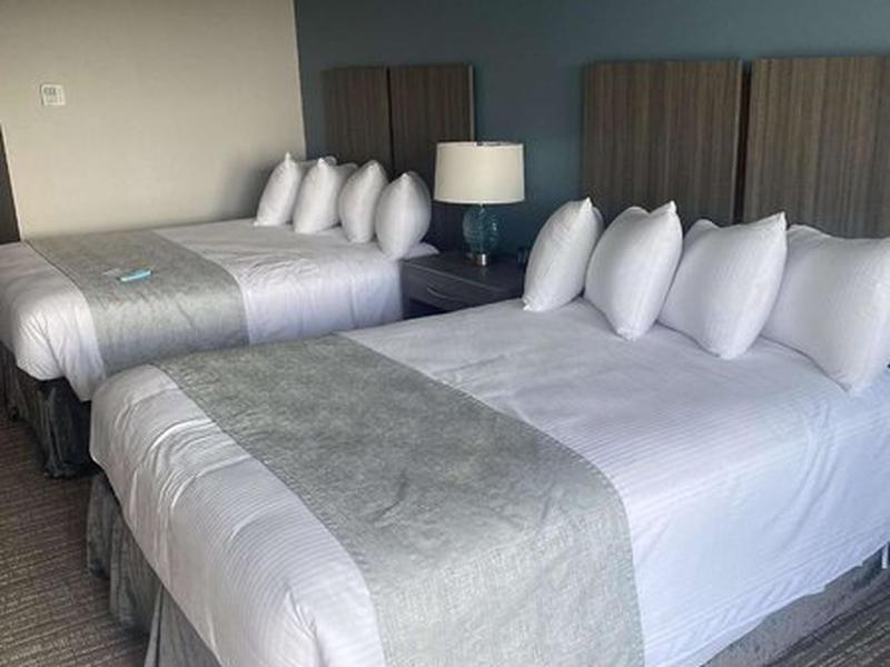 FED739E7B03C5AA6D1C5D1BFF77FED51