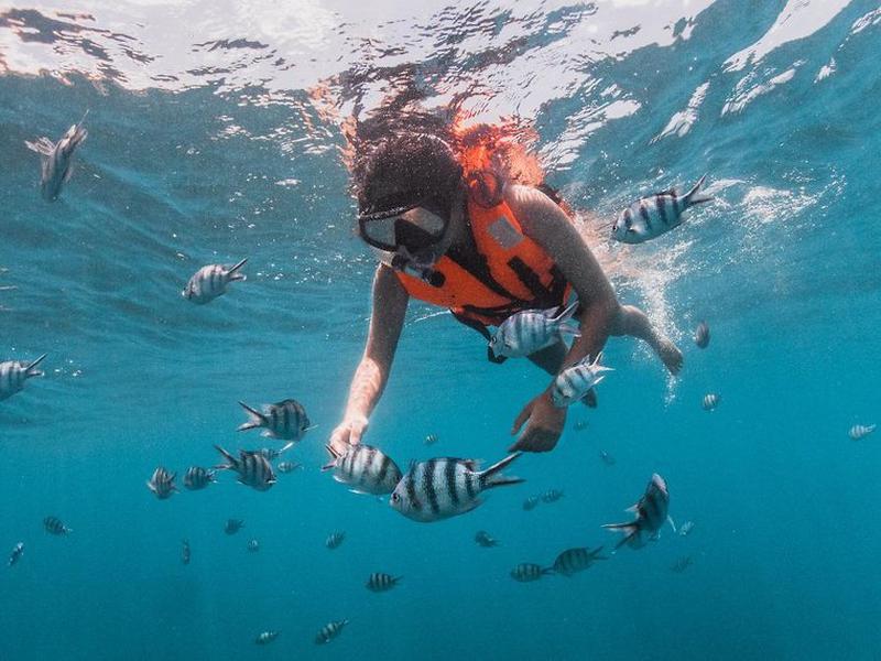 33B42BFB53A417A141929D21D0ABEB3A