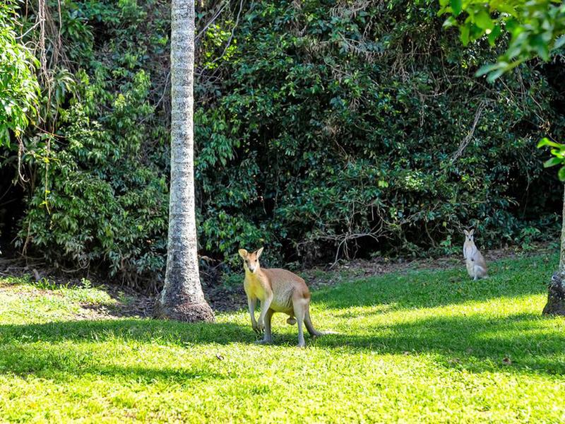 4B91FD60657748D3D45FB815406A9A47