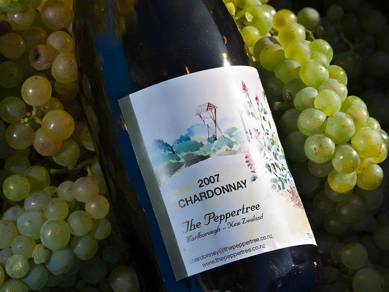 8A1174A73F1A5B21CEDF79695AFAD74F