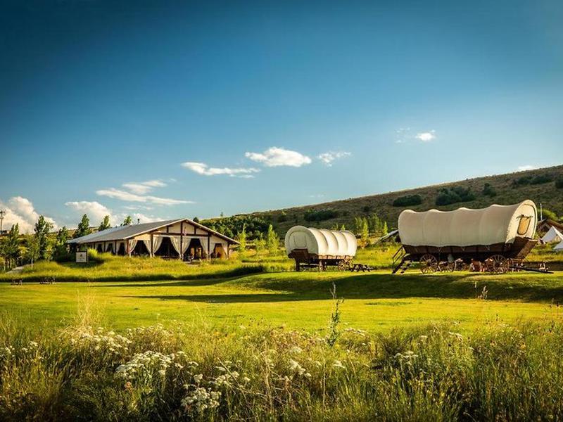 F705581BEA0B78886E9C3CE988E9B622