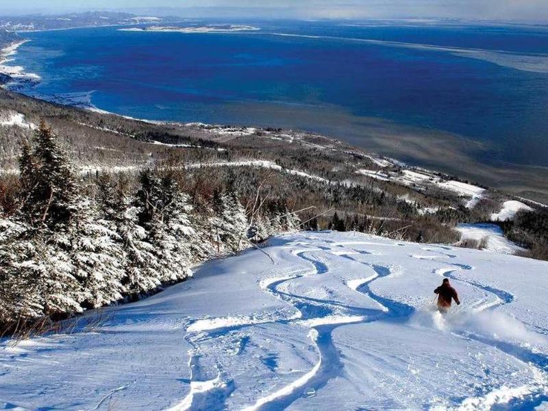 2A5EBEFE853C94D4BA30ED9ADB3C6453