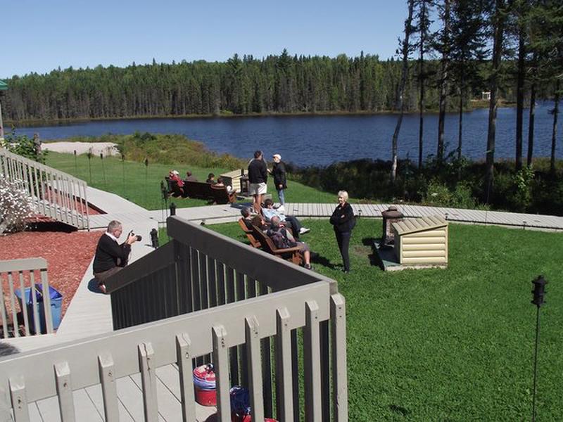 021CFD028CF0CA9AE5D3933B267EC6A9