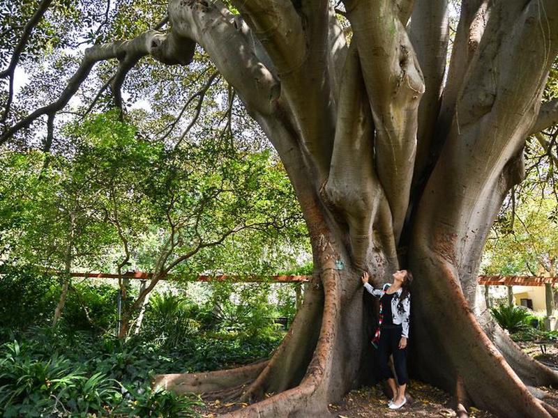 96B05836D846FC815EB5DBF34C329614