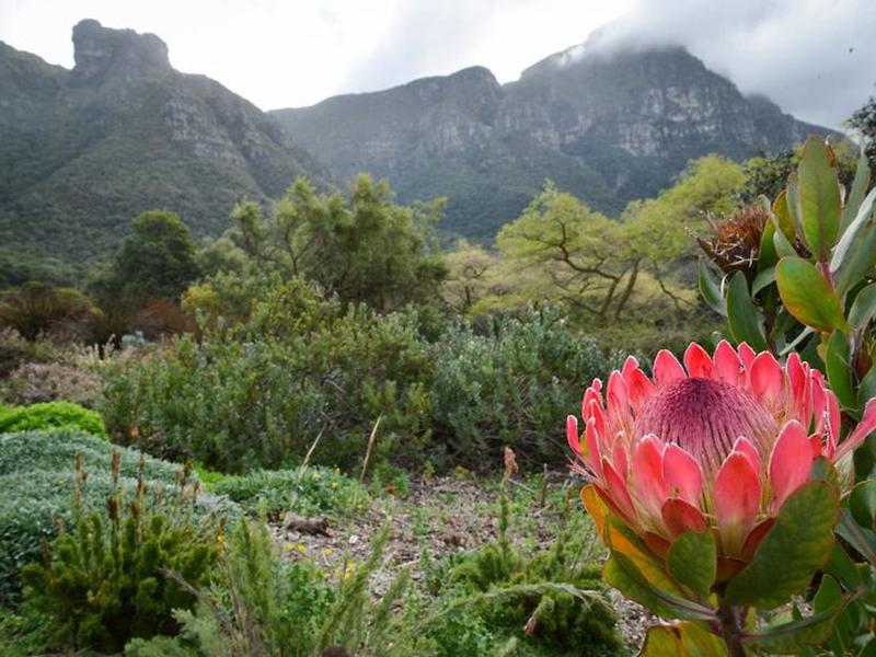 7C5E22EEF4F5FBBFE444D23840846325