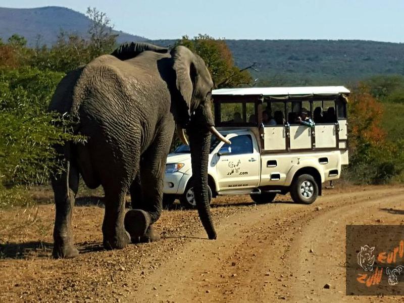 FAD0BF836280CE7CEB683DD327F0D51A