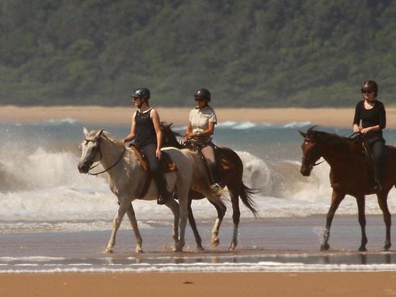 2B14EEB1C61753A07B8DBC5449B2E61B