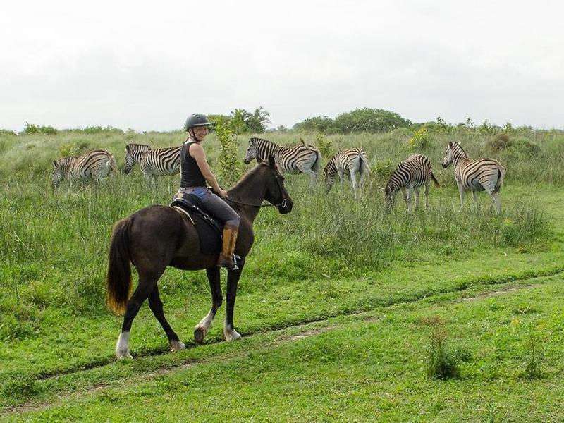 587AE1DADA0C07B5ADCFCAAF2740C3F4