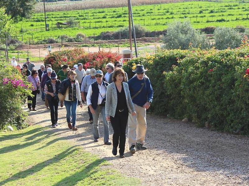 2DFB55EC6FE991F6C747AE3E136A1255