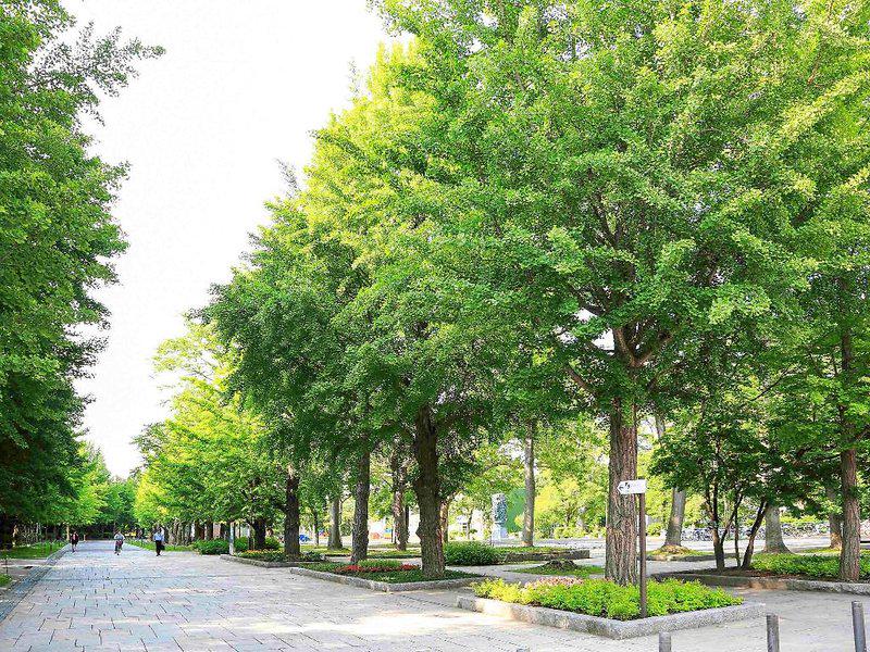 C969A6A22099F9115184DB35F5A245C4