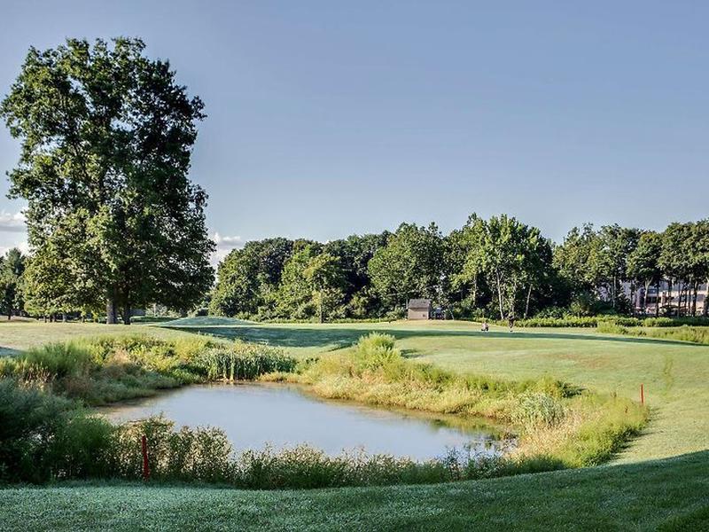 9DD9D4DF9D74E4A6BE54746CFC1EFC8C