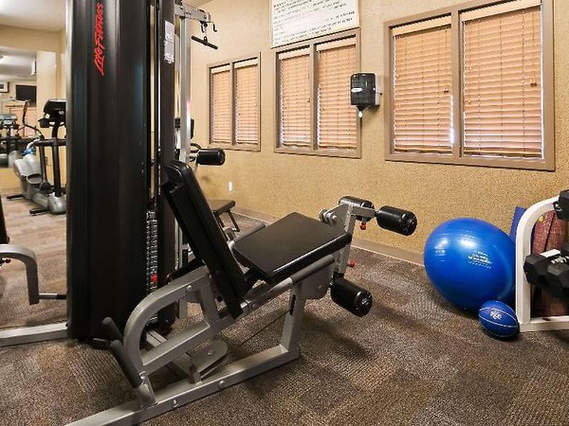 D81B56B0A8BC28C6ABEB9092FB11743F