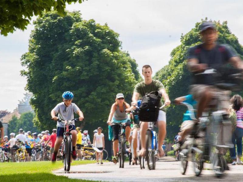 6D8C3811FEF8324529DA43123BC7BFDA