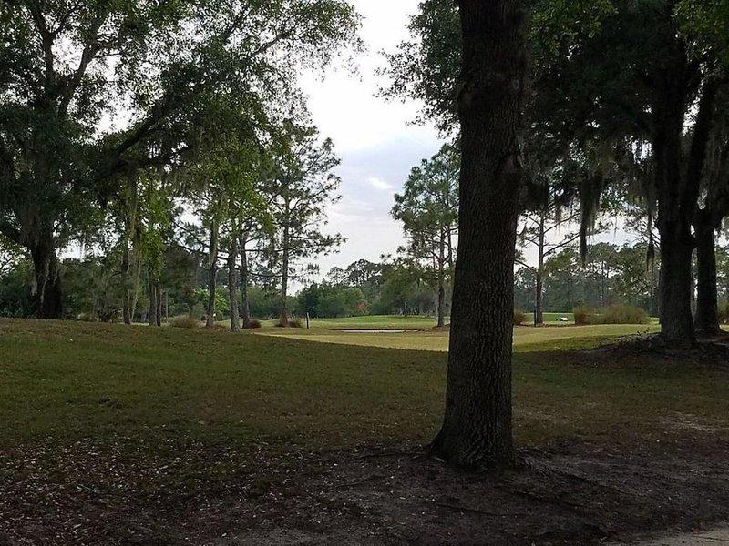 C8958BA7F7997212D69E8B6537F6BD7F