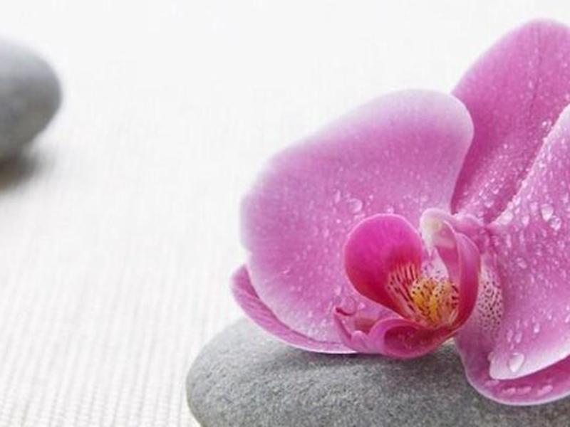 433BE71CFC7AD2FC9D80D20F17051468