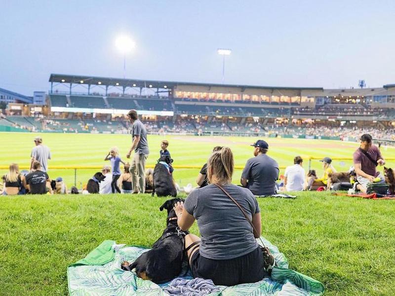 A1B3FD0269F387ED2BFABE8C700239D8