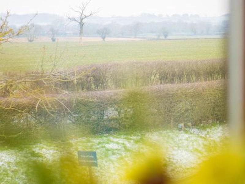 FDBA6ABA81336B51891023F9E59AF863