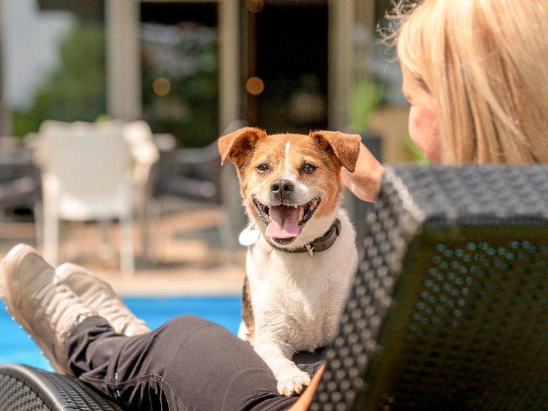 526BF97FCDB7818F3B7A7DFEC9F564C1