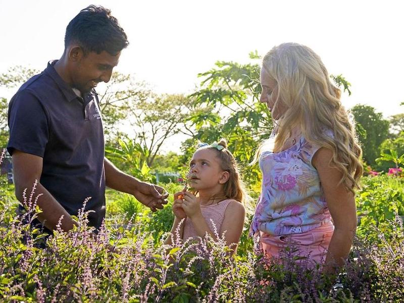 B612971AE9E5BC31C7179C0B2C6C4D2B