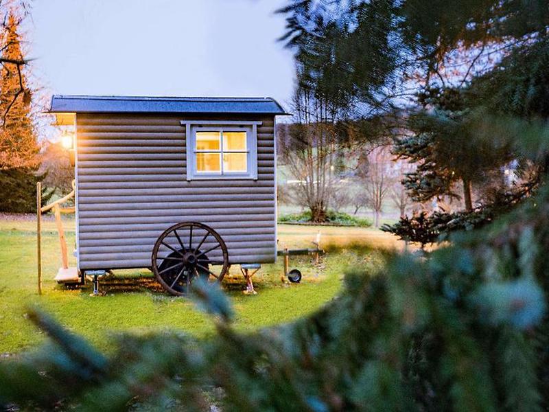 268E56F2ED05563B76A7689E25B2657E