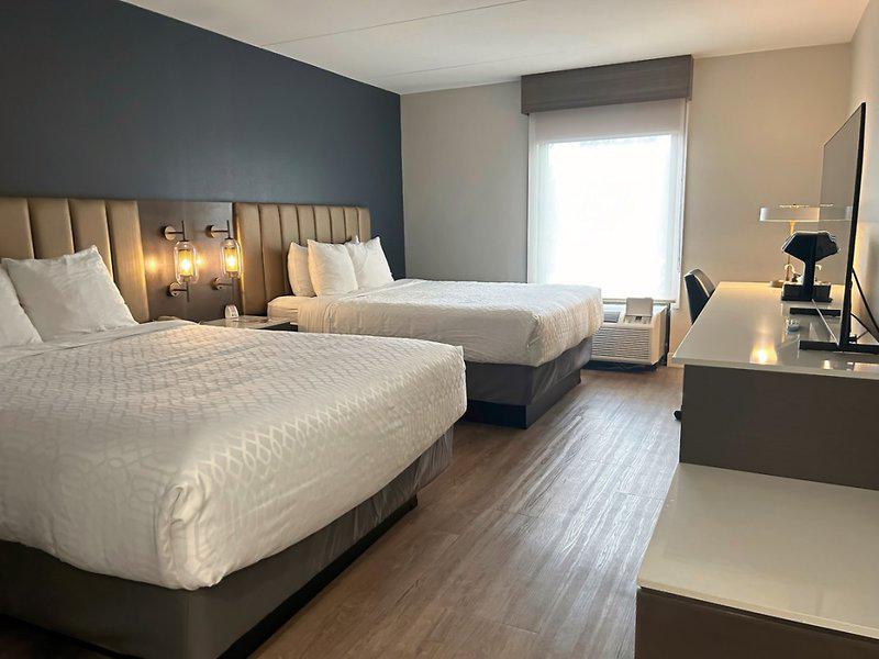 C2CDA451447752CC5E2C34D2E6A8FEE5