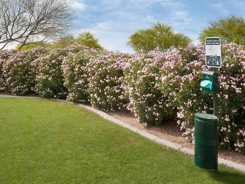 264EC3DAD8CA48E97D58DA9885C4DCFB