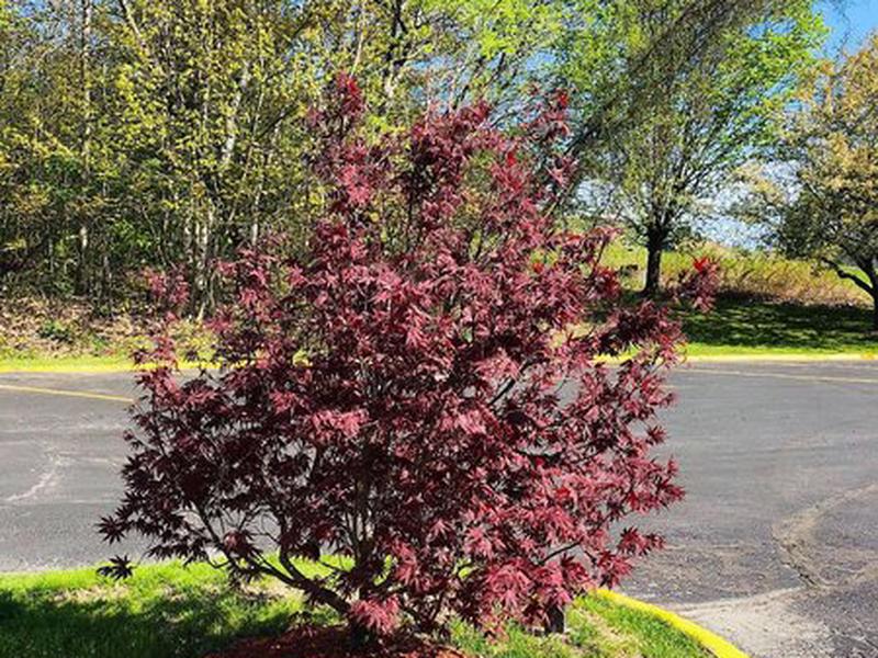 780F8321A150D7CE690BC973114CE50D