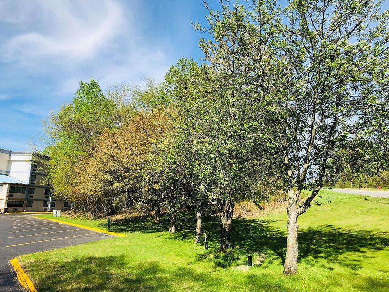 267A0D4FA5BFB15D9BC3A416A21D6CC5