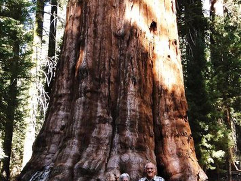 C8BA2E887A4DE2216E0B9EB7707383F1