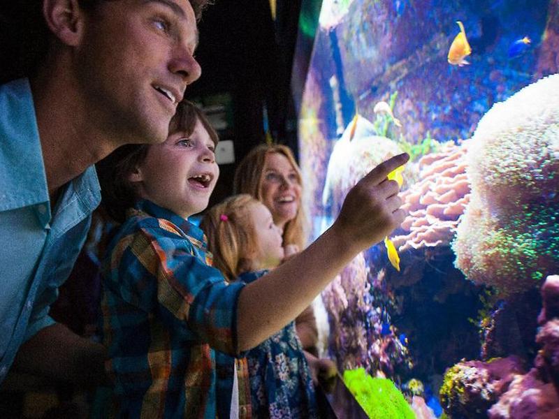 ACDED28AF9908AC1AB73C0EEBB5B64A4