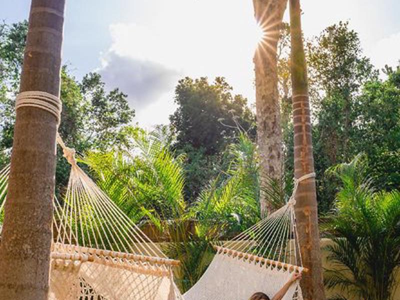 573F0575F0118E97E0FB2CD25993D75E