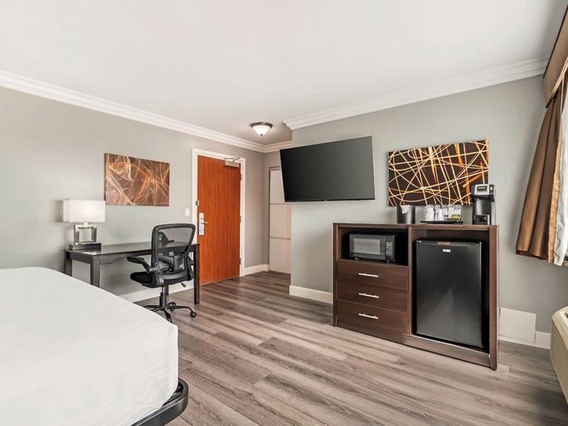 2E5A41549316D1D994E2AD16C203546C