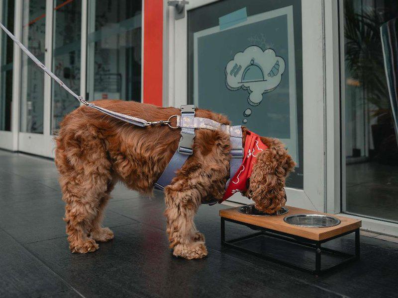 D718616C8F8B9A62430C337CEBB8C018